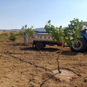 batmanda fistik ureticileri sulama yapiyor b7lJOhkB