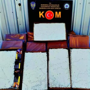 gonende kacak makaron operasyonu m51MDdHu