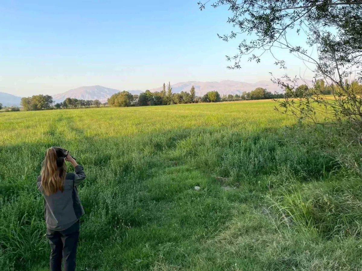 igdirda av donemi basladi IHpyQeTw