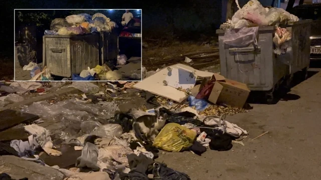 kartalda caddelerde cop daglari 2TX8Fwlr