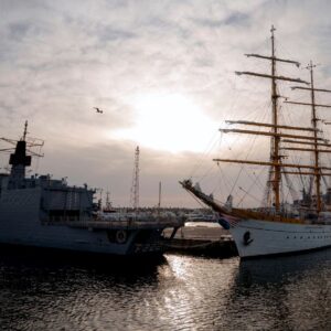 romanyadan turkiye ve bulgaristana karadeniz cagrisi bVdsmnLk