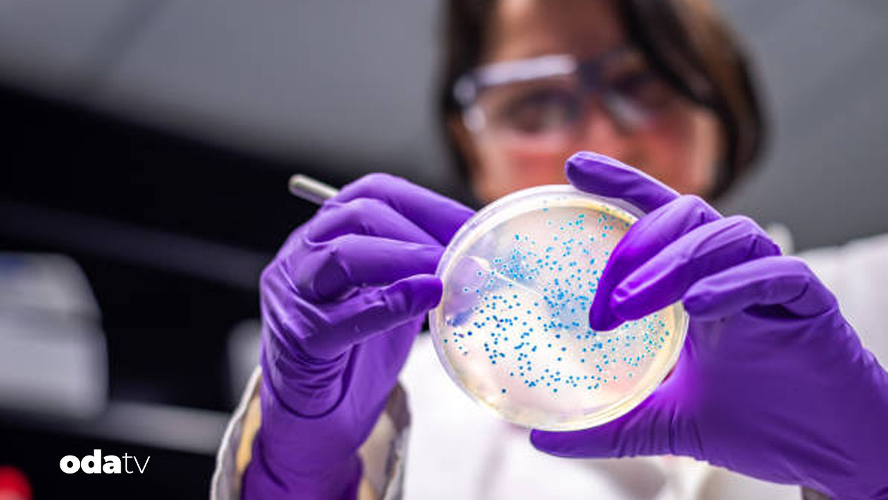 abdde 10 eyalette salmonella alarmi 7 kisi hastanelik O1u7HJaB