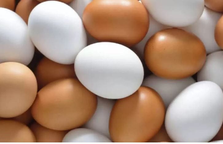 okullar acildi yumurtaya rekor zam geldi MXavNbcf