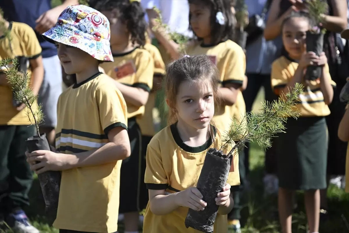 uyum haftasinda fidan dikimi etkinligi PEOsNm2E
