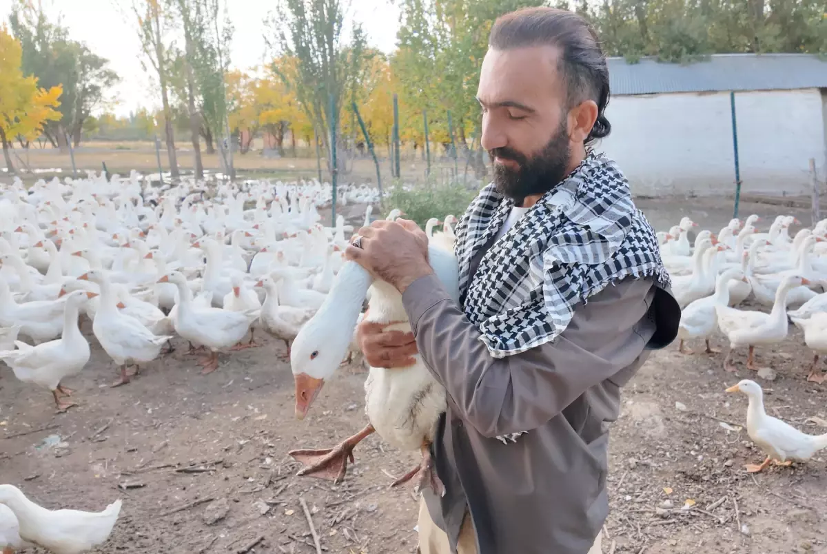 agrida kanatli hayvan sevgiyle yetistiriliyor DGEaMfaK