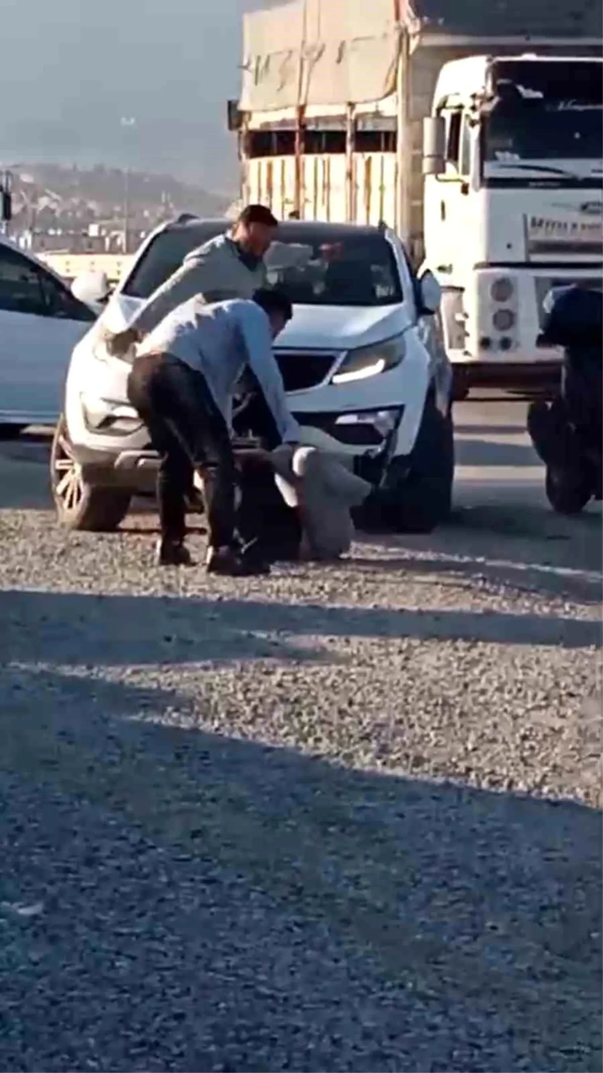 hatayda sokak ortasinda kan donduran dayak ILJ9DI2i.jpg