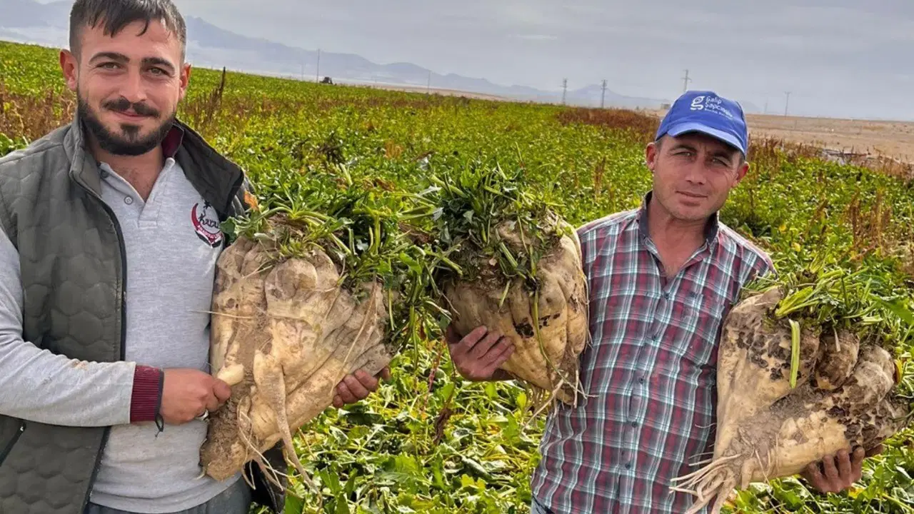 konyada hasada giden ciftciler surpriz ile karsilasti tam 24 kilo Zf9QgU38.jpg