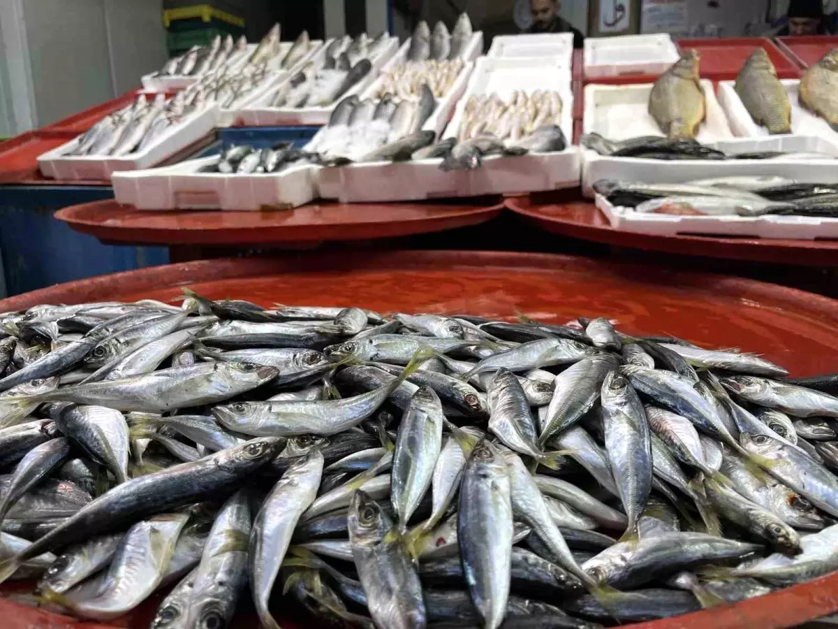 Konya’da Hamsi Sıkıntısı ve Fiyat Artışı