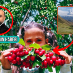 Haber gorseli