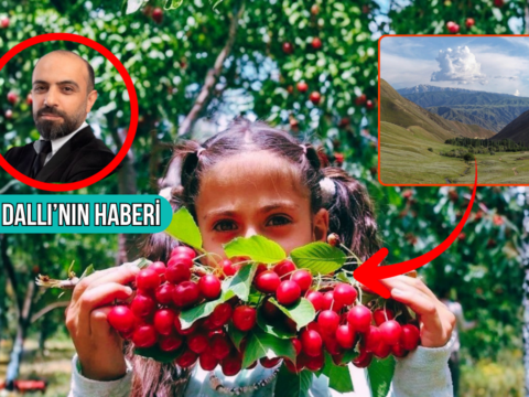 Haber gorseli